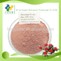 Fresh and Instant rose Powder,Organic rose petal powder